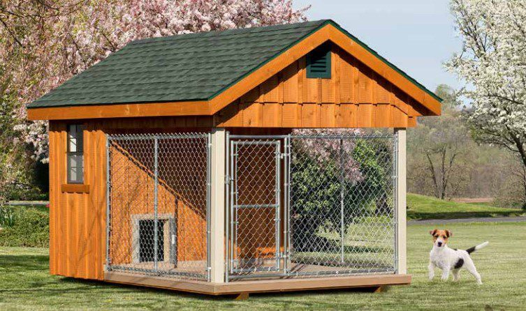 small dog, big dog house